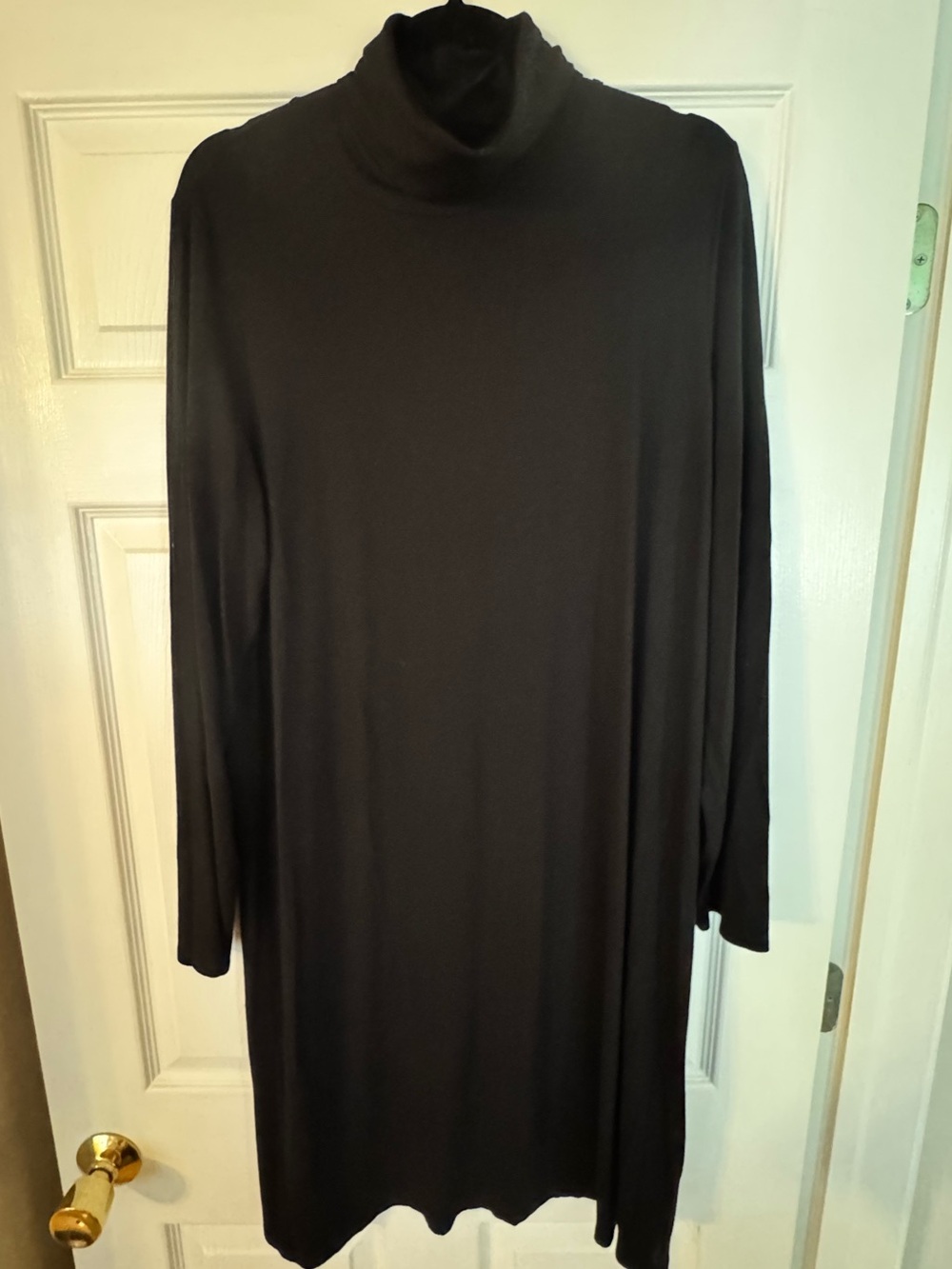 Long Sleeve Black Turtleneck Dress - Minimalist Everyday Style